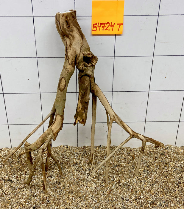 54724T Talawa Wurzel Holz