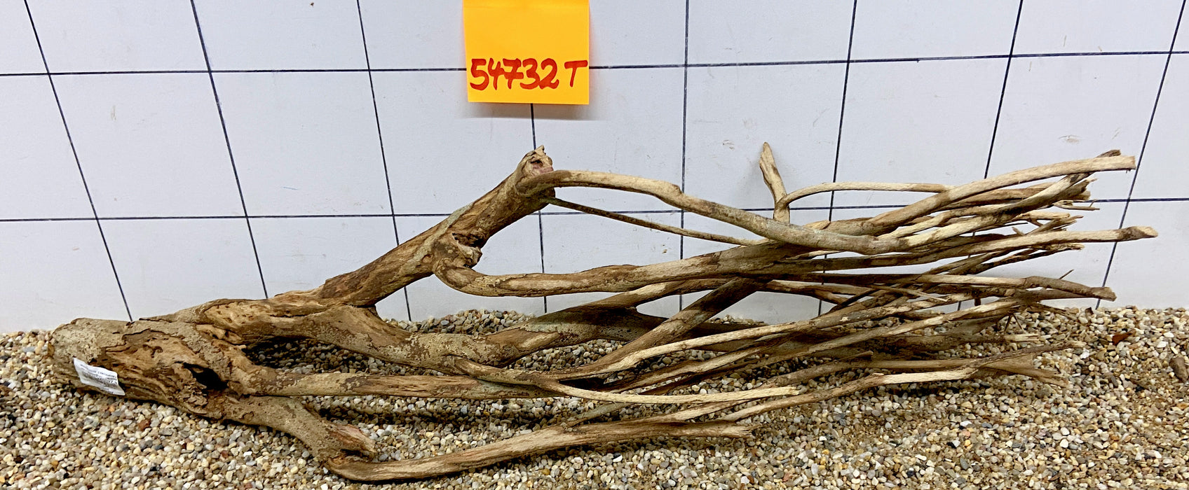 54732T Talawa Wurzel Holz