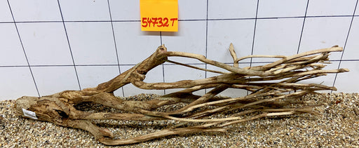 54732T Talawa Wurzel Holz