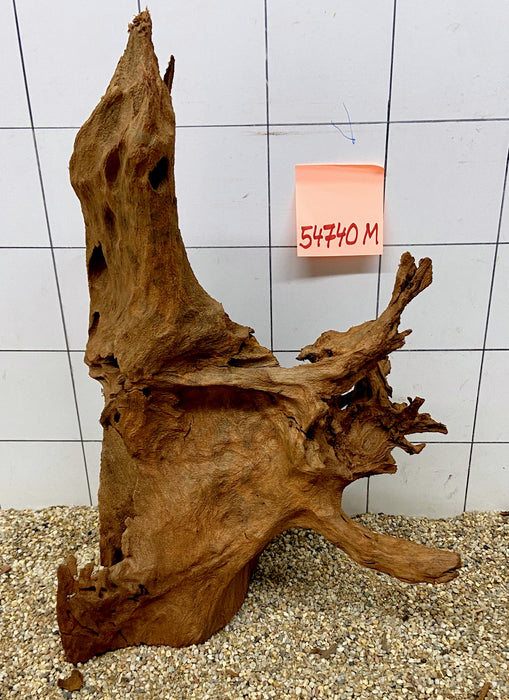 54740M - Mangrovenwurzel Holz