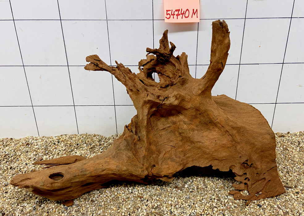 54740M - Mangrovenwurzel Holz