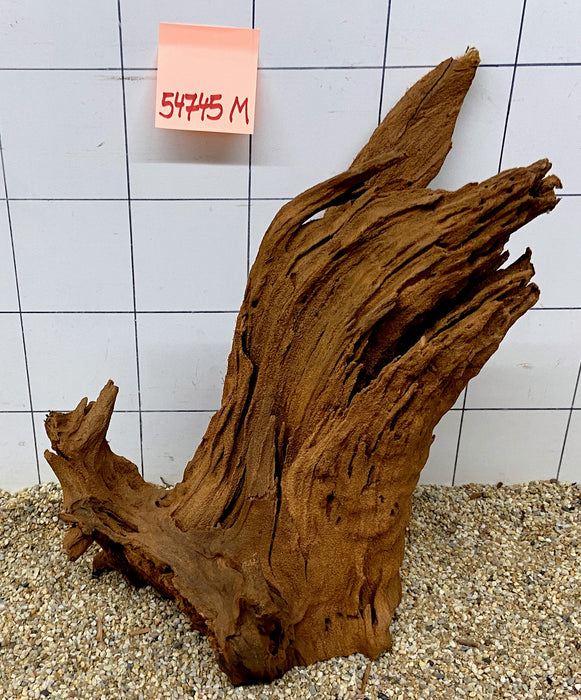 54745M - Mangrovenwurzel Holz
