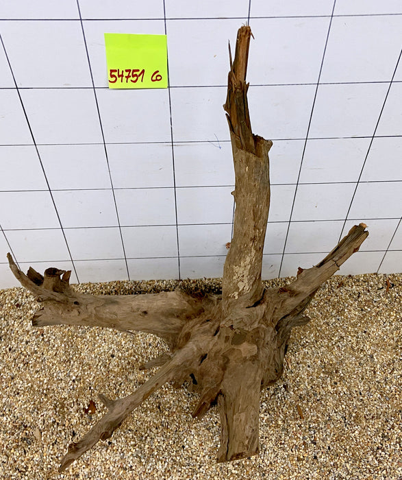 54751CO - Corbo Wurzel Holz XL