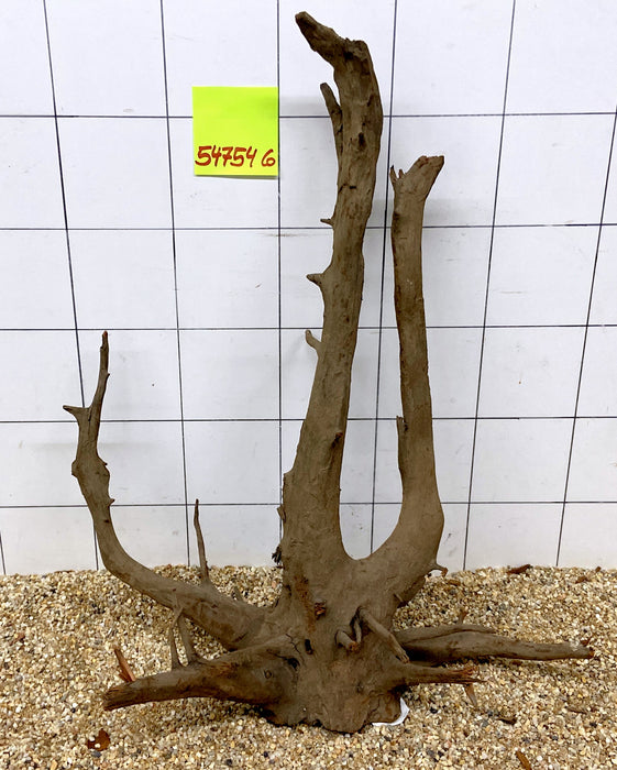 54754CO - Corbo Wurzel Holz XL