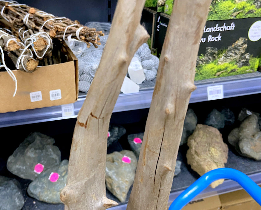 54756CO - Corbo Wurzel Holz XL