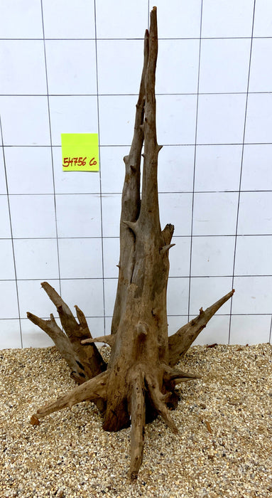 54756CO - Corbo Wurzel Holz XL