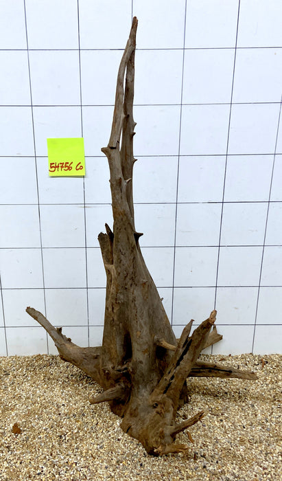 54756CO - Corbo Wurzel Holz XL