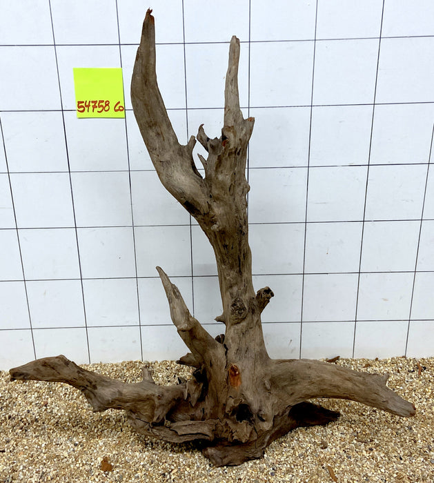 54758CO - Corbo Wurzel Holz XL