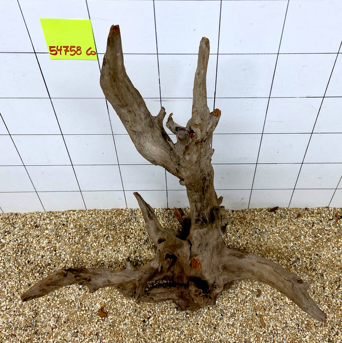 54758CO - Corbo Wurzel Holz XL