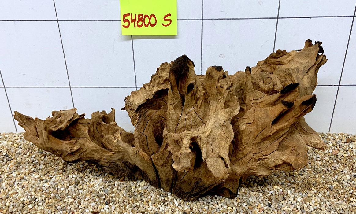 54800S Samoa Wurzel Holz