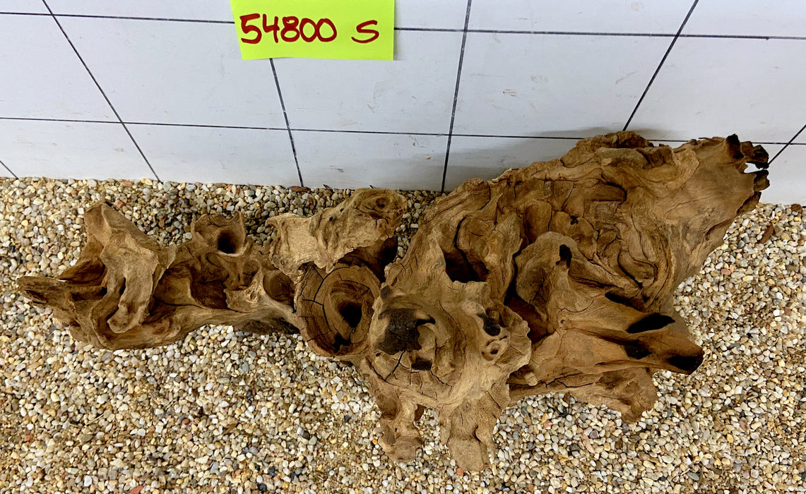 54800S Samoa Wurzel Holz