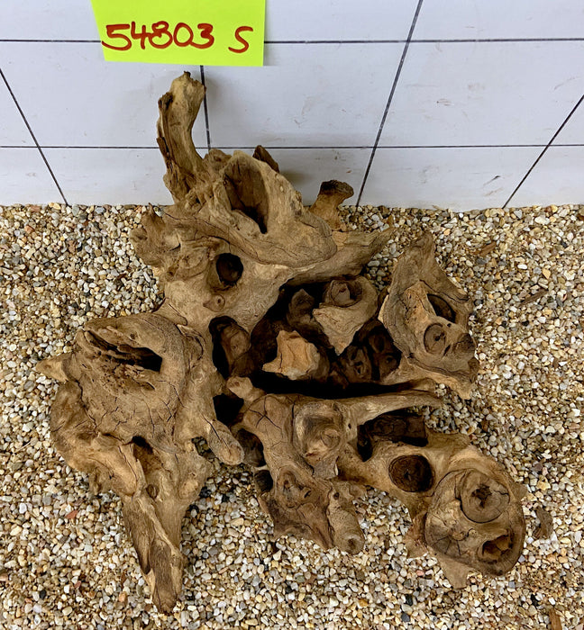 54803S Samoa Wurzel Holz