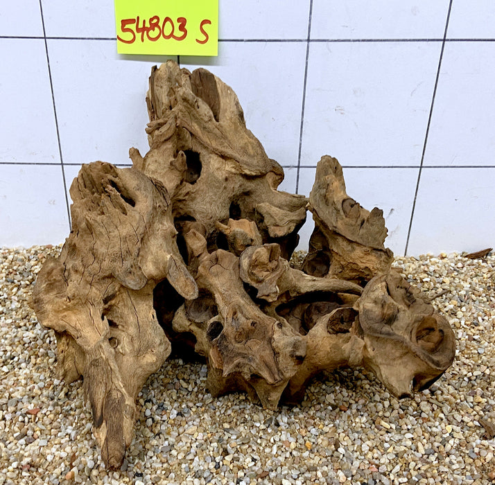 54803S Samoa Wurzel Holz