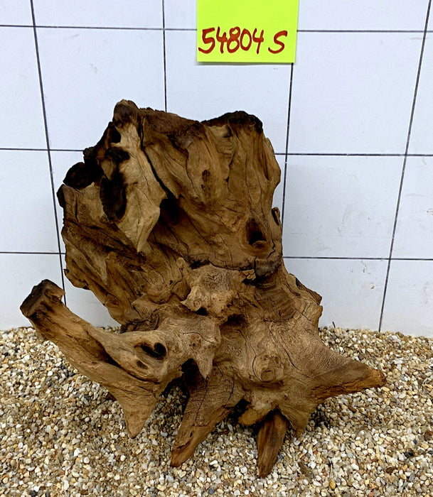 54804S Samoa Wurzel Holz