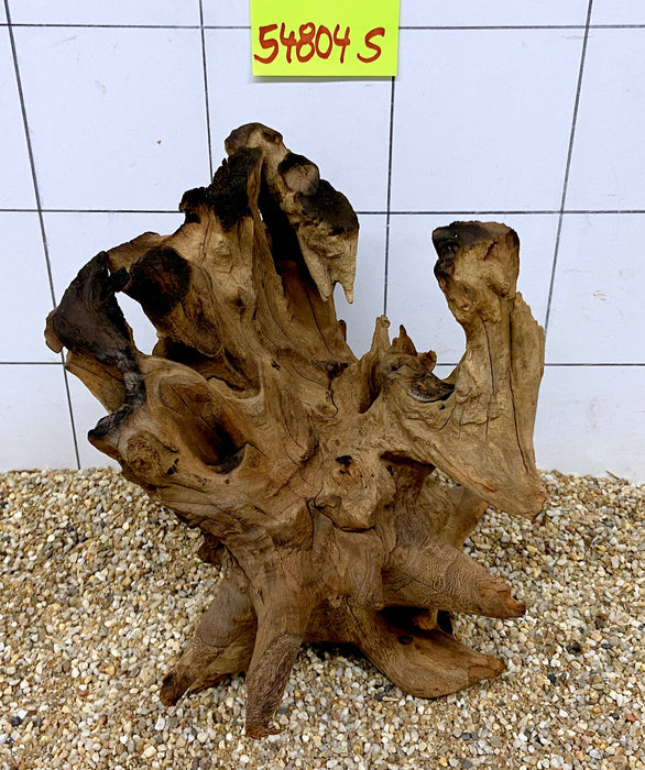 54804S Samoa Wurzel Holz