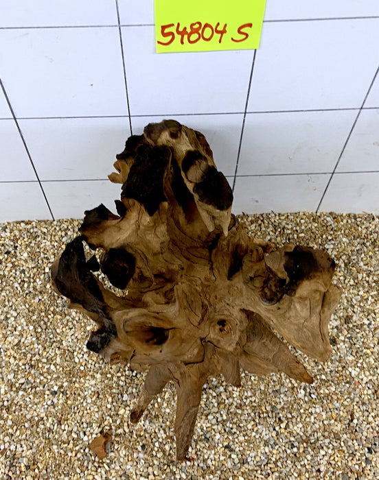 54804S Samoa Wurzel Holz