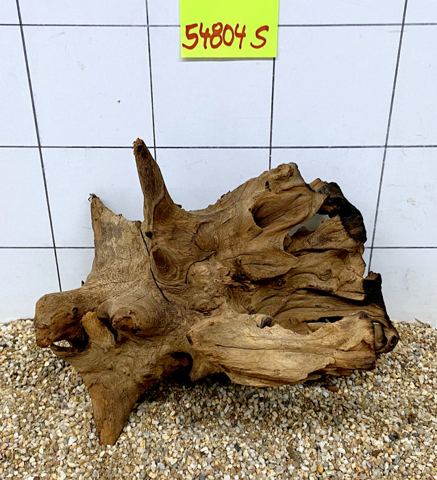 54804S Samoa Wurzel Holz