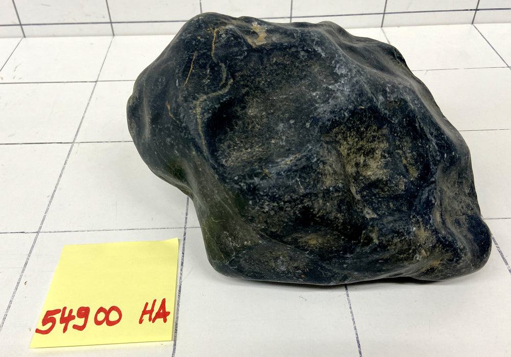 54900HA Hakkai Stone Flussstein