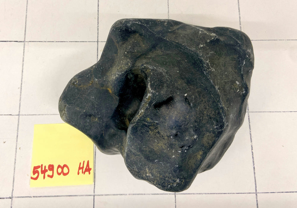 54900HA Hakkai Stone Flussstein