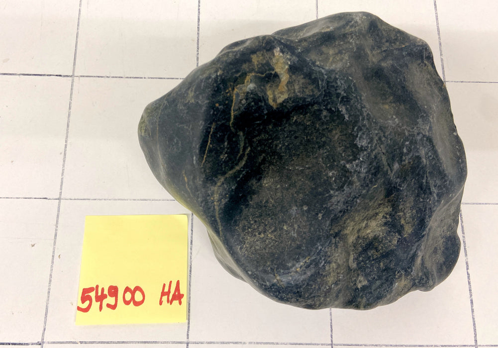 54900HA Hakkai Stone Flussstein