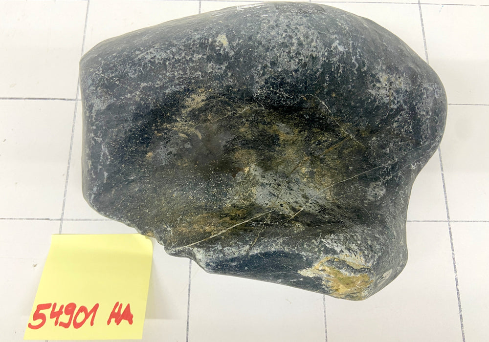 54901HA Hakkai Stone Flussstein