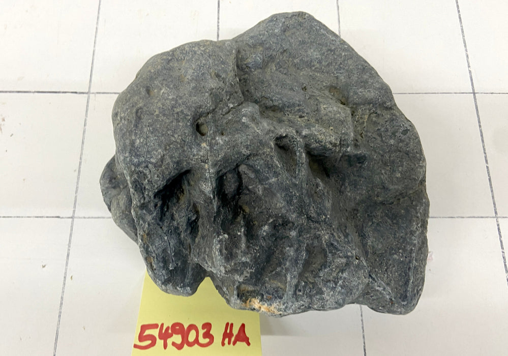 54903HA Hakkai Stone Flussstein