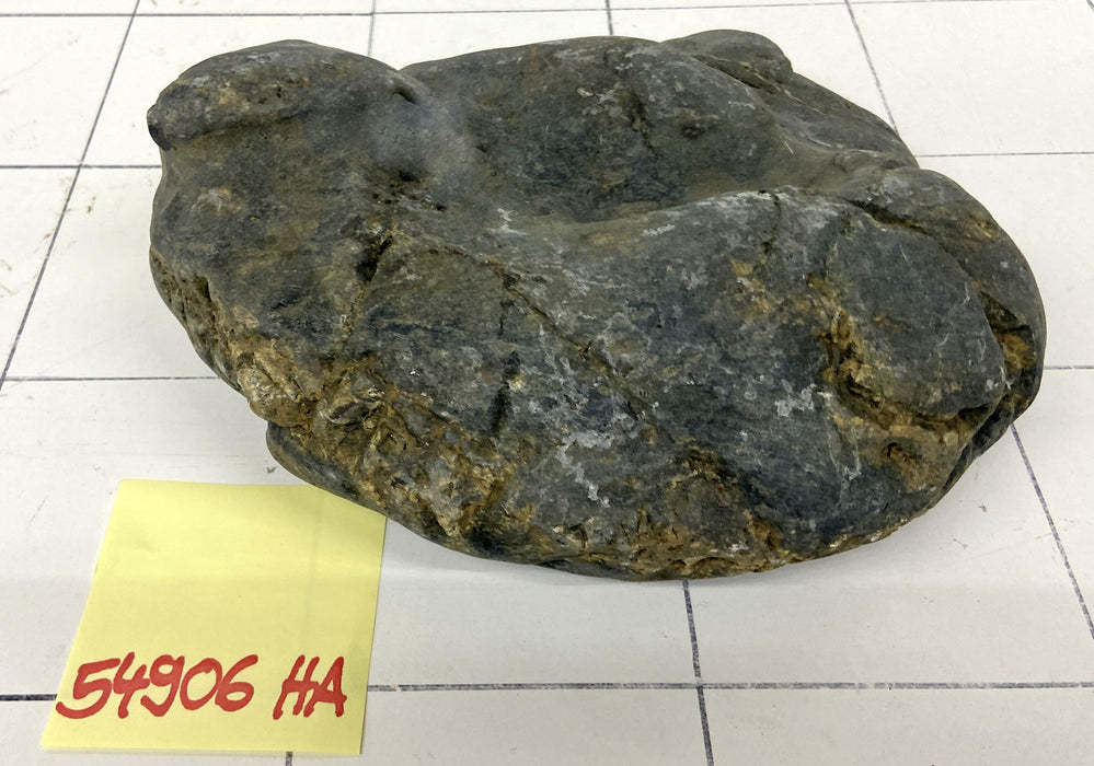 54906HA Hakkai Stone Flussstein