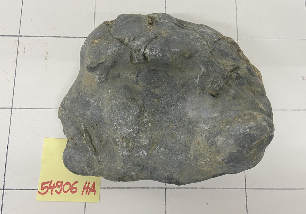 54906HA Hakkai Stone Flussstein