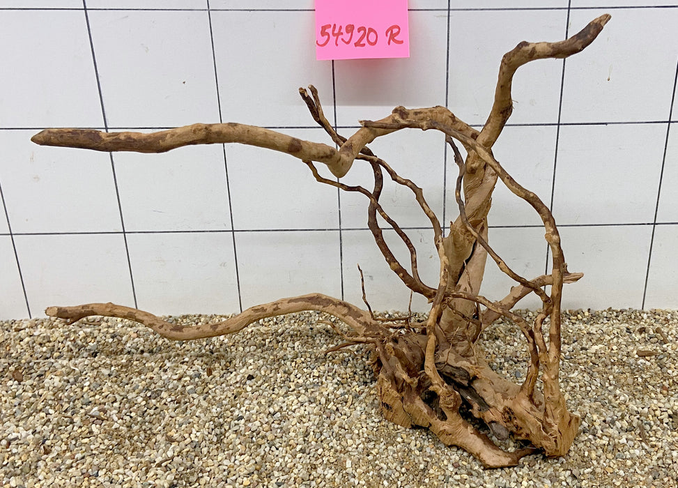 54920R Fingerwood / Rote Moorwurzel Holz