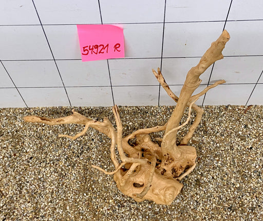 54921R Fingerwood / Rote Moorwurzel Holz