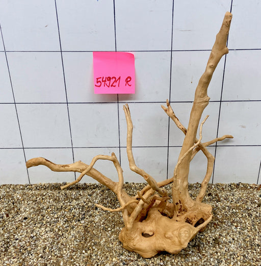 54921R Fingerwood / Rote Moorwurzel Holz