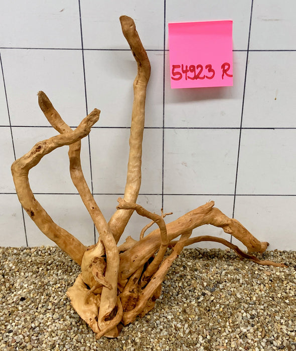 54923R Fingerwood / Rote Moorwurzel Holz