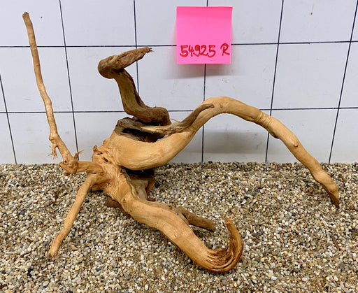 54925R Fingerwood / Rote Moorwurzel Holz