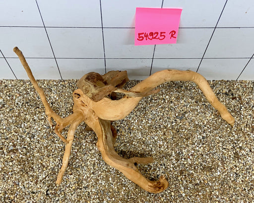 54925R Fingerwood / Rote Moorwurzel Holz