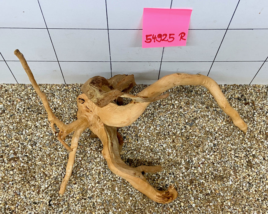 54925R Fingerwood / Rote Moorwurzel Holz