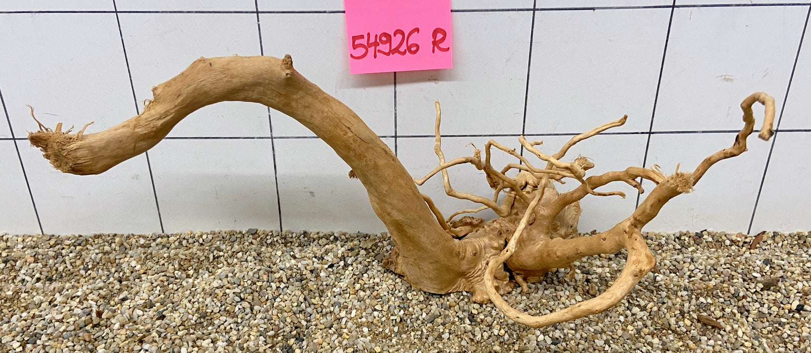 54926R Fingerwood / Rote Moorwurzel Holz