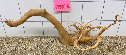 54926R Fingerwood / Rote Moorwurzel Holz