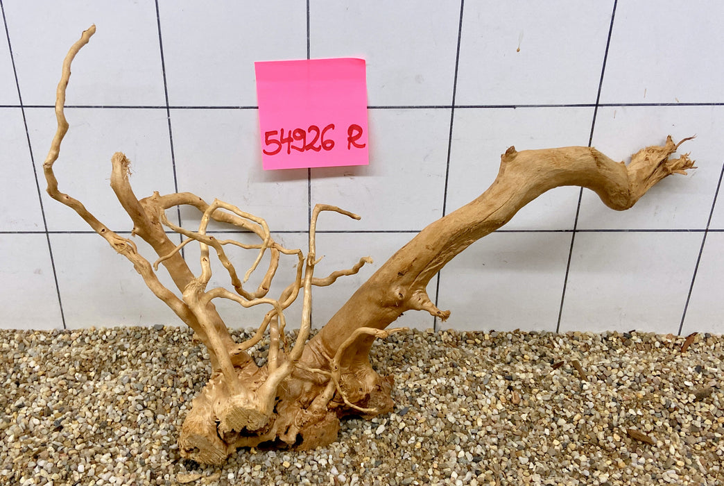 54926R Fingerwood / Rote Moorwurzel Holz