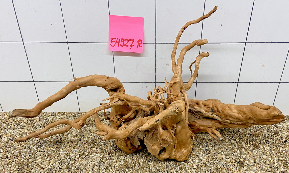 54927R Fingerwood / Rote Moorwurzel Holz