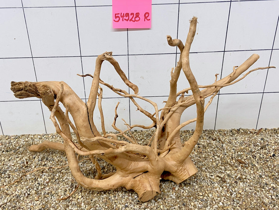 54928R Fingerwood / Rote Moorwurzel Holz