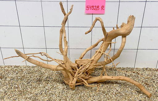 54928R Fingerwood / Rote Moorwurzel Holz