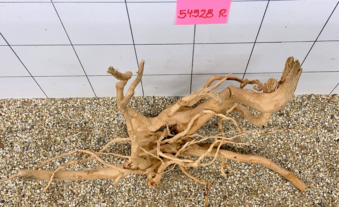 54928R Fingerwood / Rote Moorwurzel Holz