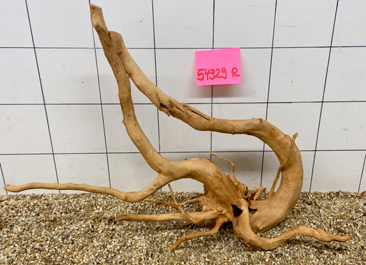 54929R Fingerwood / Rote Moorwurzel Holz