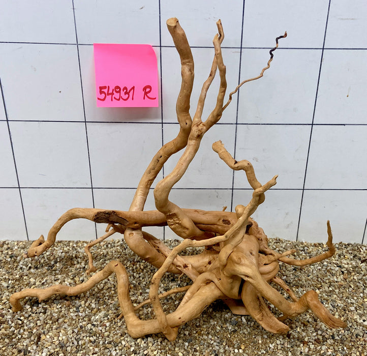 54931R Fingerwood / Rote Moorwurzel Holz