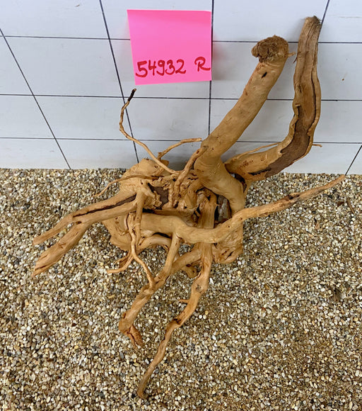 54932R Fingerwood / Rote Moorwurzel Holz