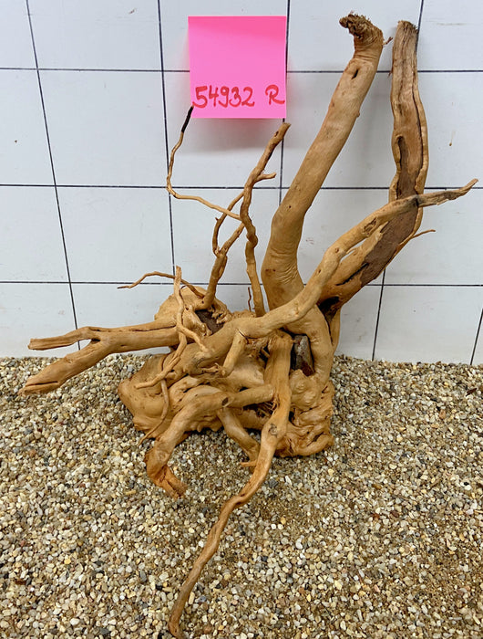 54932R Fingerwood / Rote Moorwurzel Holz