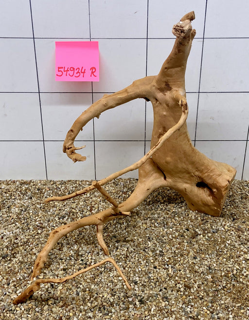 54934R Fingerwood / Rote Moorwurzel Holz