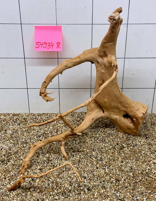 54934R Fingerwood / Rote Moorwurzel Holz