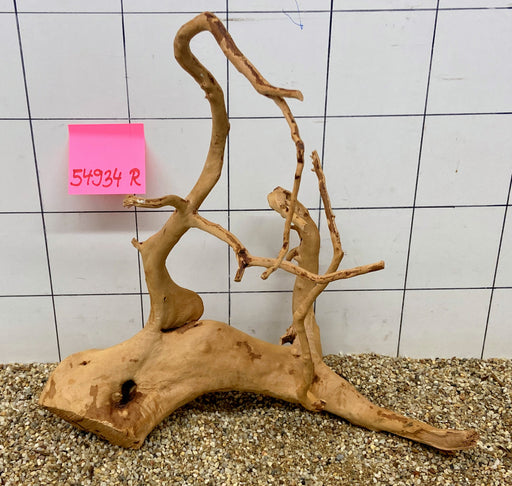 54934R Fingerwood / Rote Moorwurzel Holz