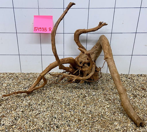 54935R Fingerwood / Rote Moorwurzel Holz